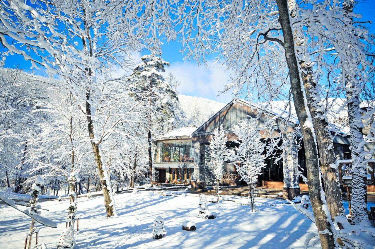 Hotel Sierra Resort Hakuba Bagian luar foto